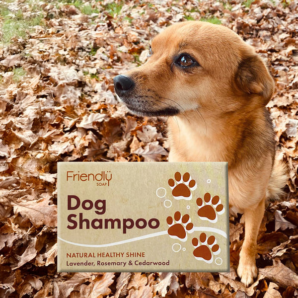 Dog Shampoo ( Mitti's Favourite) 95g