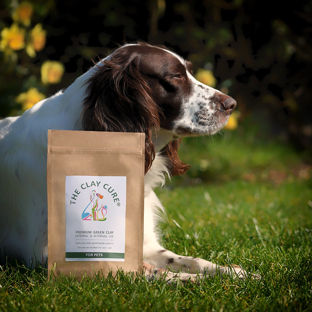Green Clay for Pets