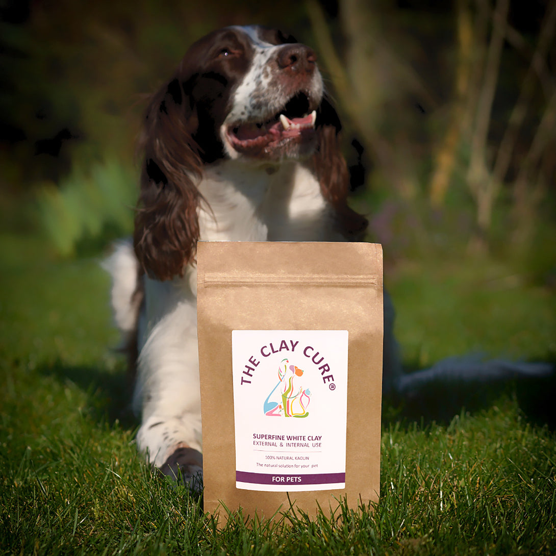 White Clay for Pets