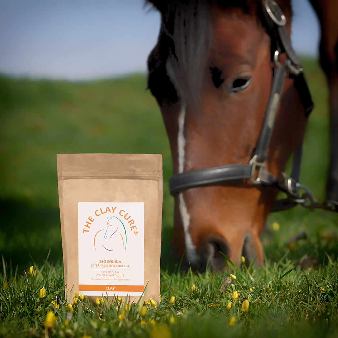 Zeolite Clinoptilolite for Horses